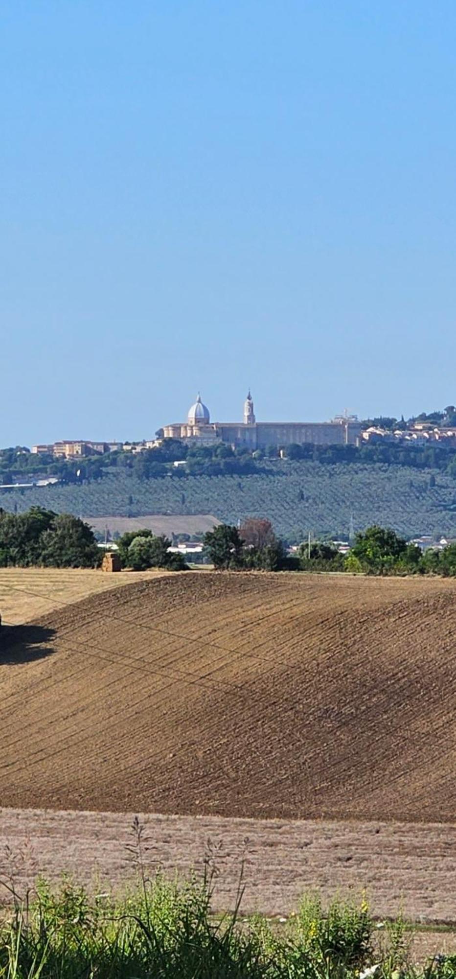 Voglia D'Amare Bed and Breakfast Numana Buitenkant foto